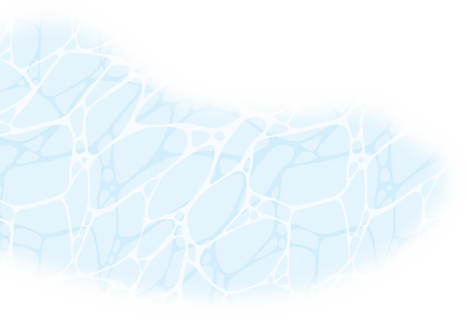 海